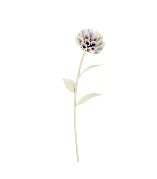 Fleur Dalium - Aloe