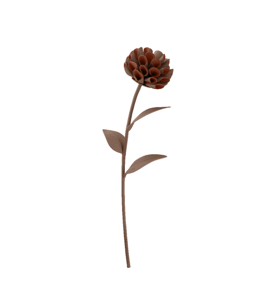 Fleur Dalium - Racine