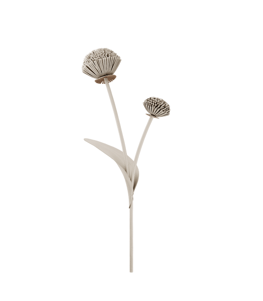 Fleur Tul - Craie
