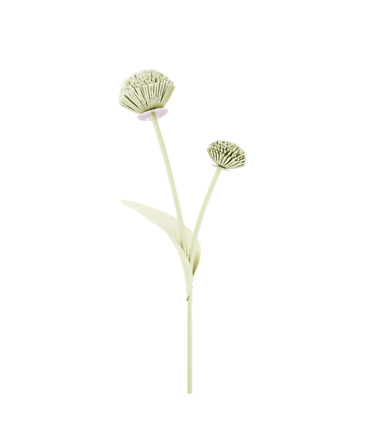 Fleur Tul - Aloe