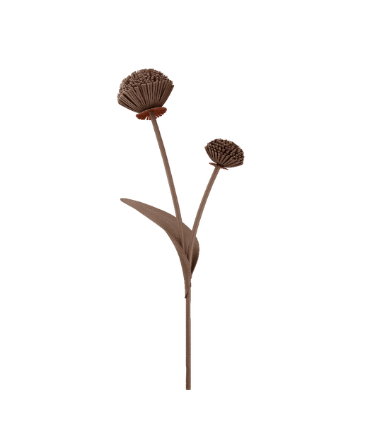 Fleur Tul - Racine